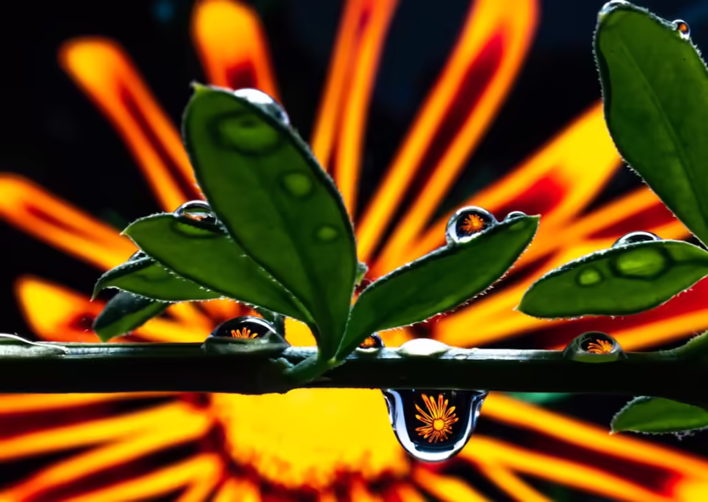 cannabis-and-creativity-in-san-francisco