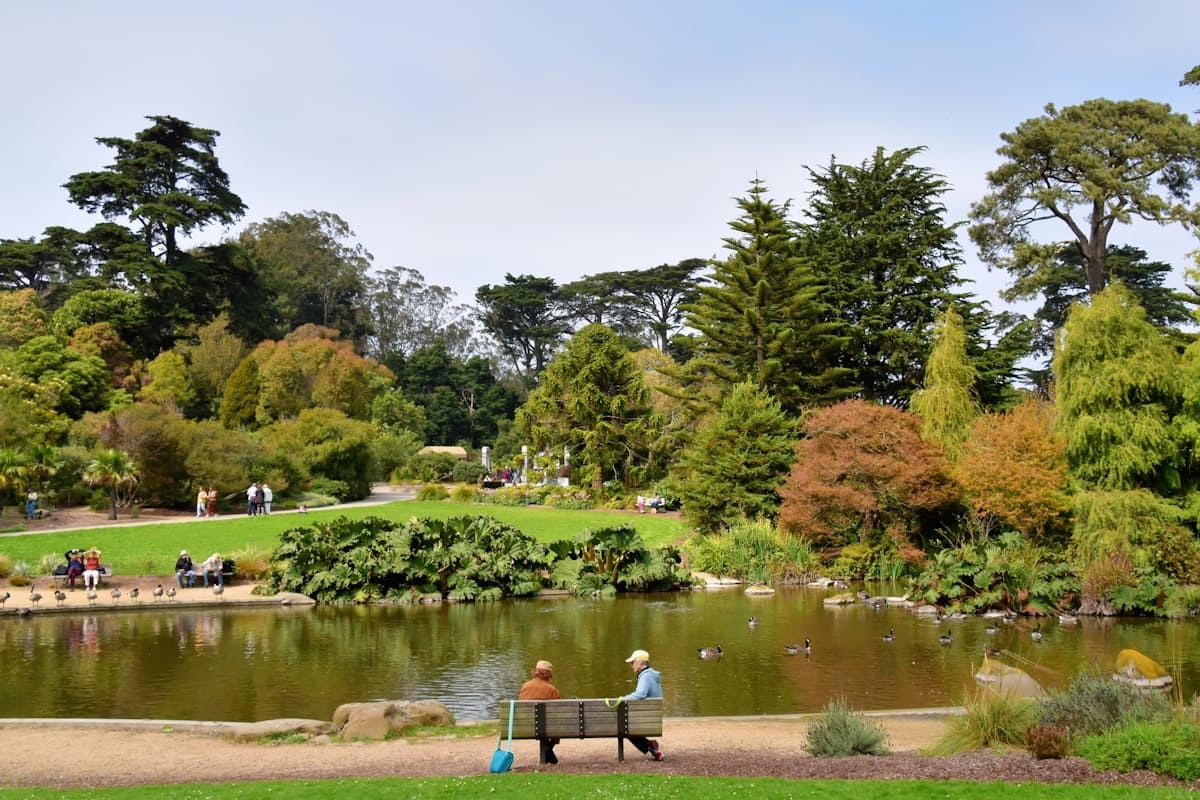 Pond and gardens in Golden Gate Park, a hub of San Francisco cannabis culture today