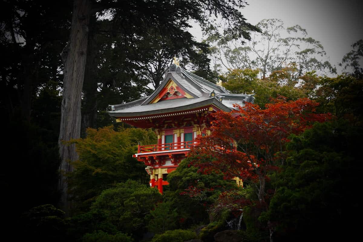Historic building tucked among Golden Gate Park's trees and trails